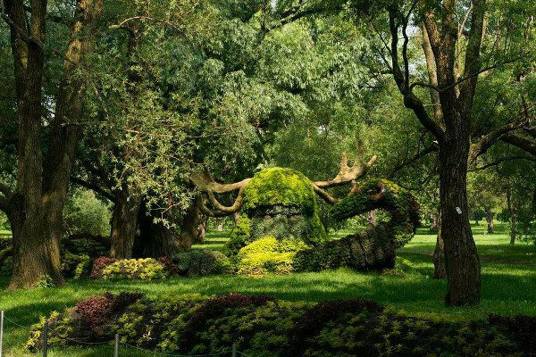 Foto: facebook.com/Mosaïcultures Internationales de Montréal