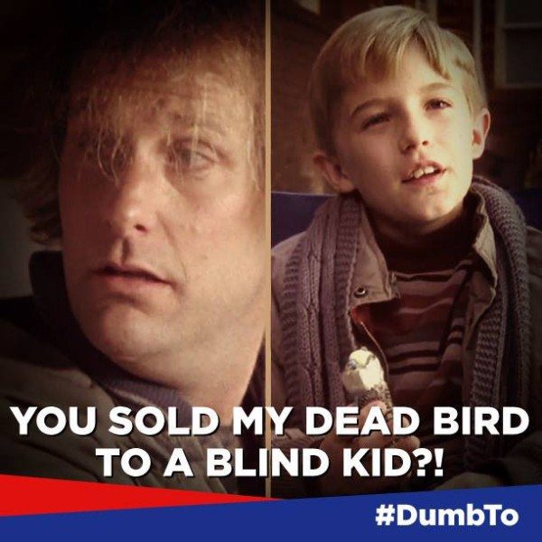 Foto:Facebook.com/DumbandDumberMovie