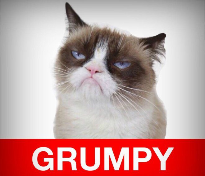 Foto: facebook.com/TheOfficialGrumpyCat