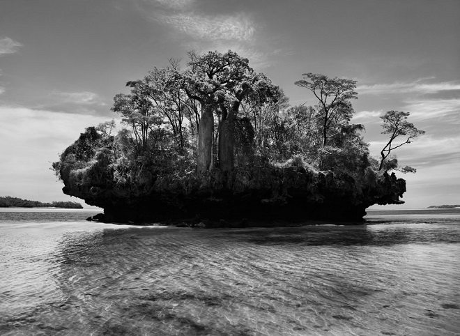 Foto: Sebastião Salgado, nightcricket.tumblr.com