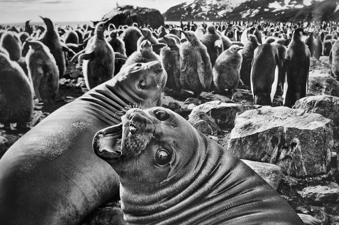 Foto: Sebastião Salgado, unanoceacaso.tumblr.com