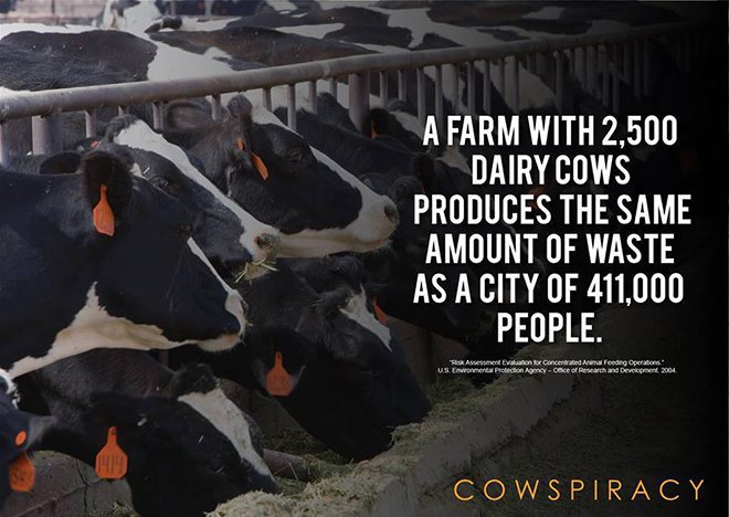 Foto: facebook.com/cowspiracymovie