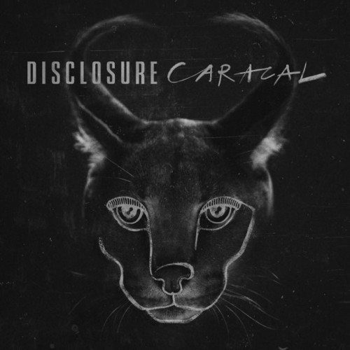 DisclosureCaracal080615-500x500