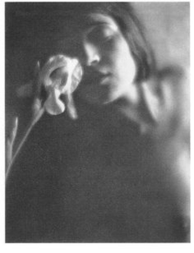 Foto: pinterest.com/jhdreamer [Edward Weston, „The White Iris“ (1921.)]