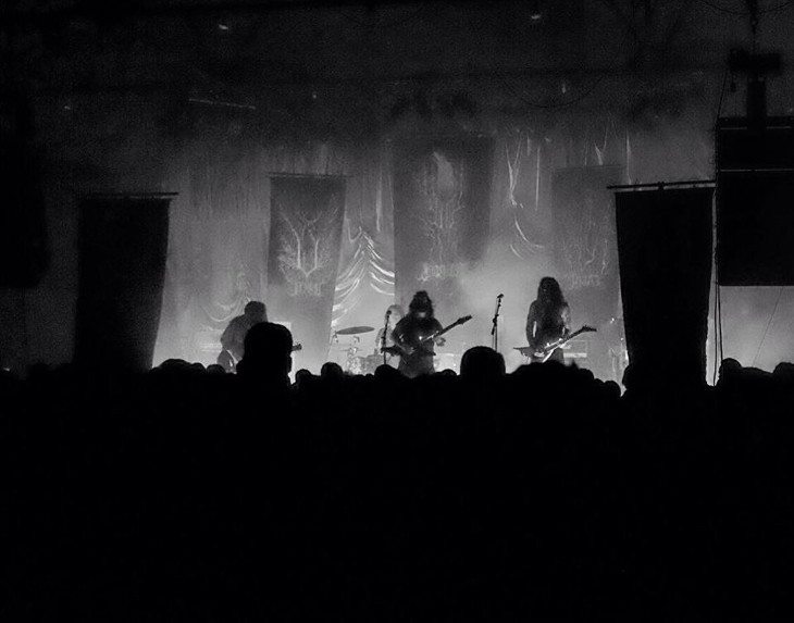 Wolves in the throne room