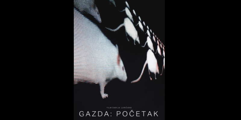 gazda pocetak