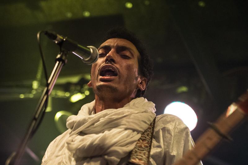 Bombino